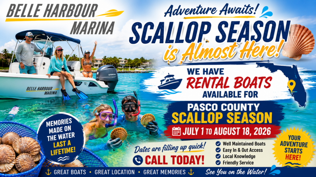 2026 Scallop Season